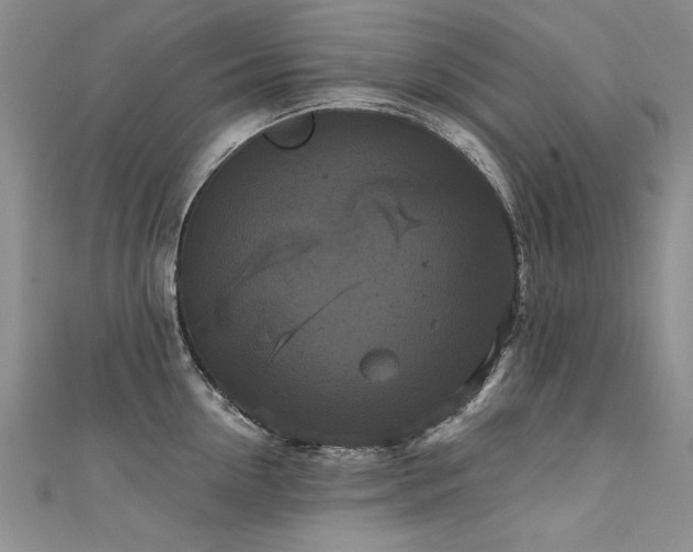 X0000111520954200907141505