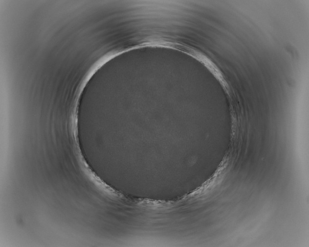 X0000111520955200907141505