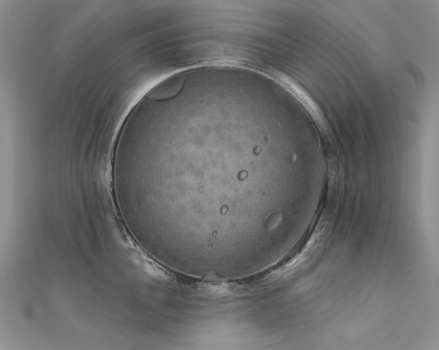 X0000111520956200907141505