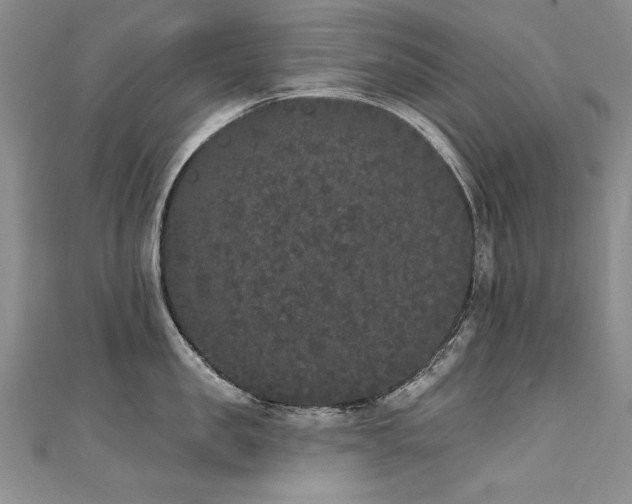 X0000111520957200907141505