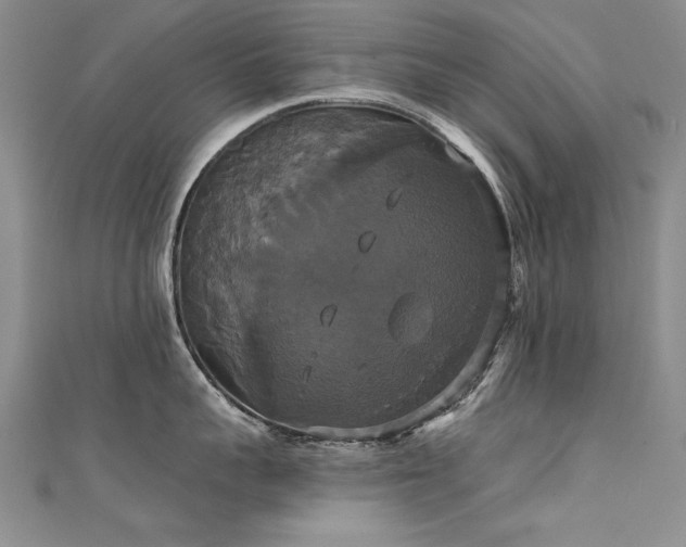 X0000111520959200907141505