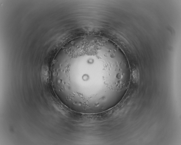 X0000111520963200907141504
