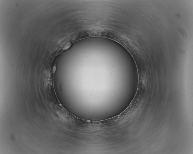 X0000111520964200907141504