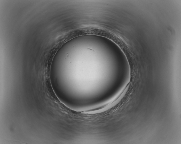 X0000111520965200907141504