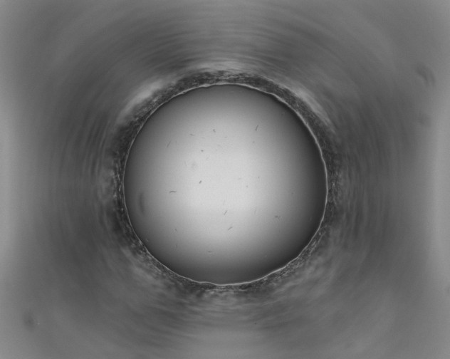 X0000111520967200907141504