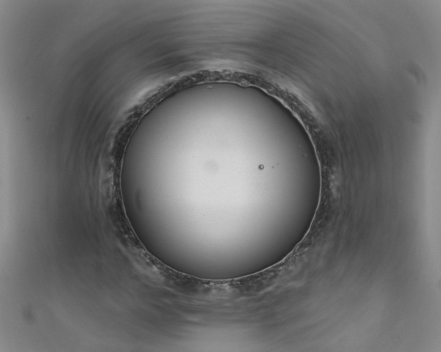 X0000111520968200907141504