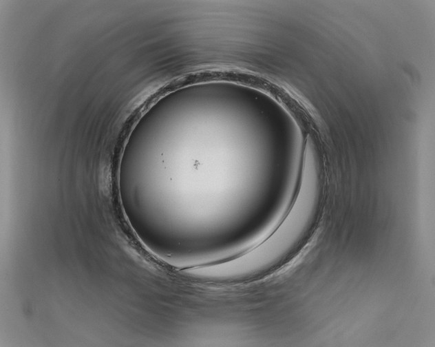 X0000111520969200907141504