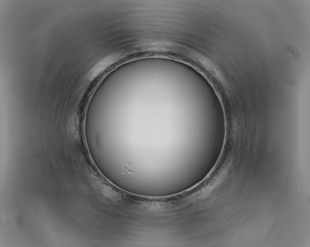 X0000111520970200907141504
