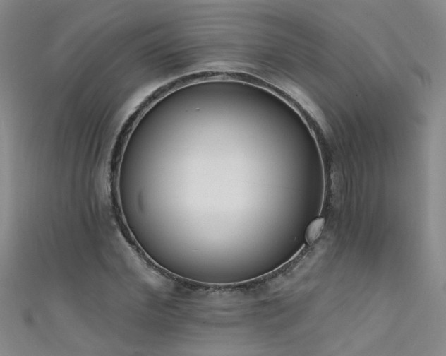 X0000111520972200907141504