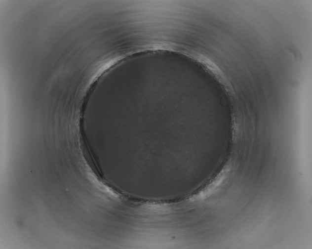 X0000111520977200907141504