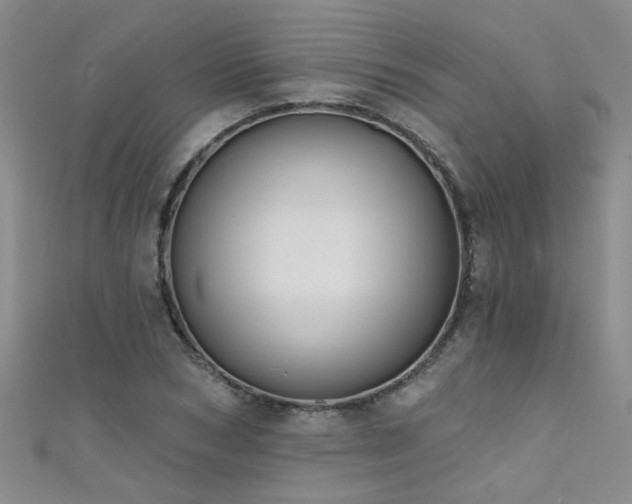 X0000111520978200907141504