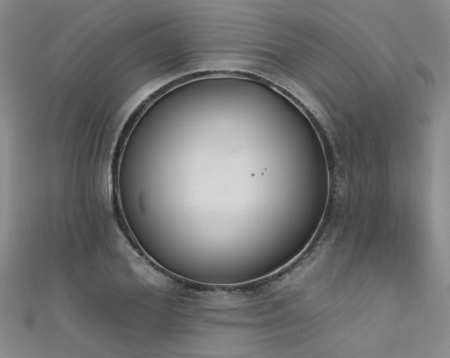 X0000111520980200907141504