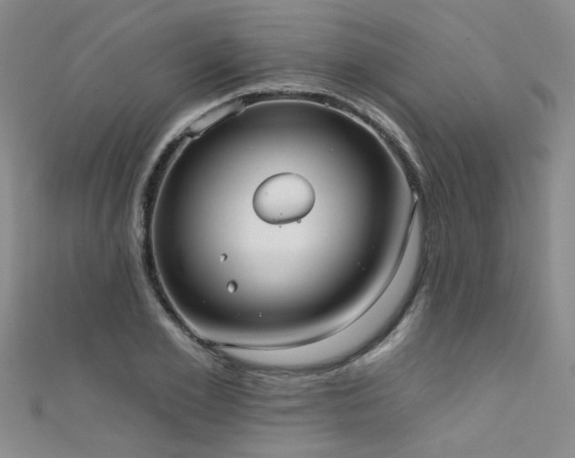 X0000111520981200907141504