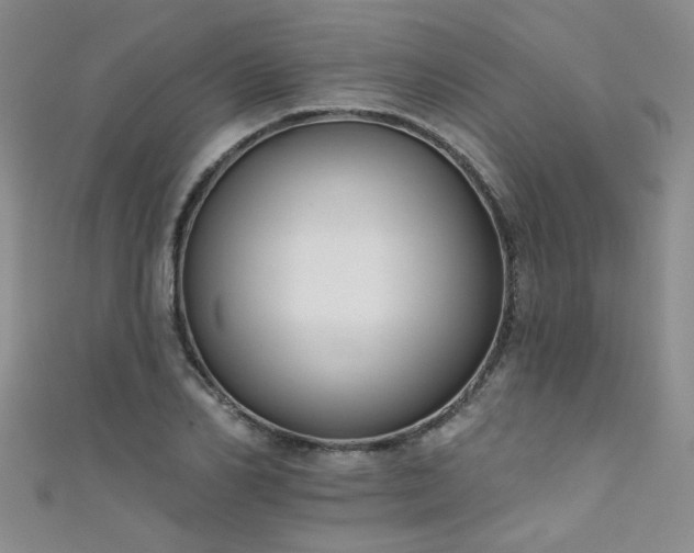 X0000111520982200907141504