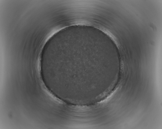 X0000111520983200907141504