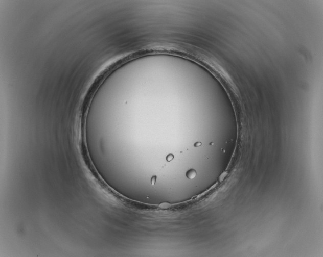 X0000111520984200907141504