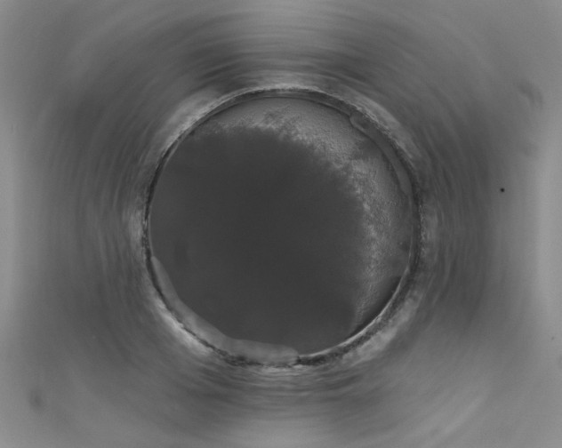 X0000111520985200907141504