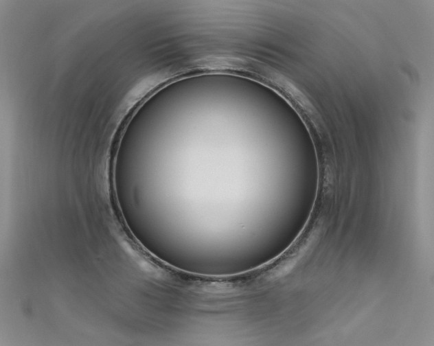 X0000111520986200907141504