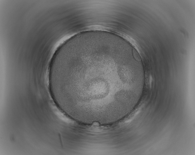X0000111520987200907141504