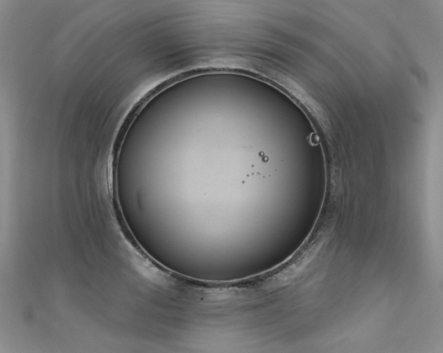 X0000111520988200907141504