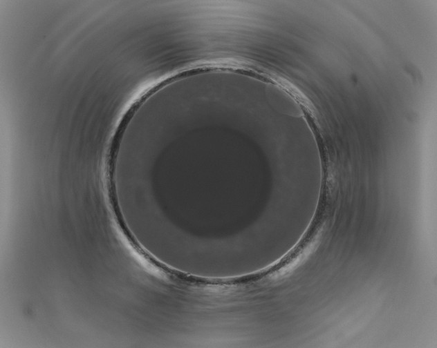 X0000111520989200907141504