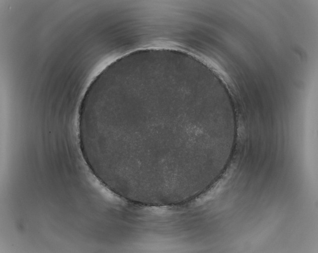 X0000111520990200907141504