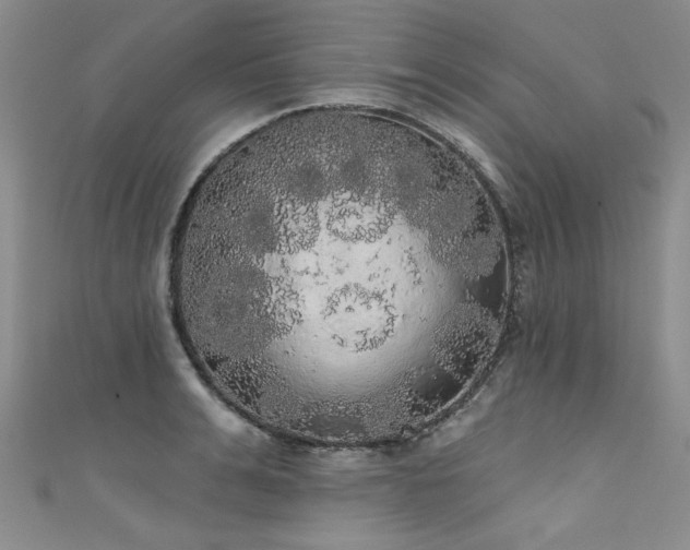 X0000111520991200907141504