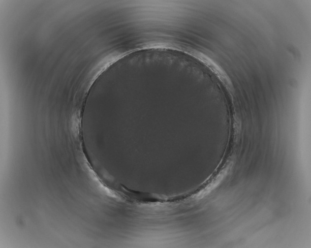 X0000111520993200907141504