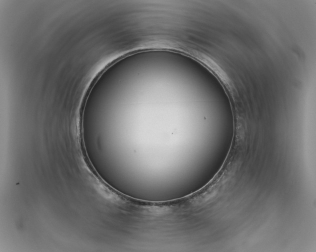 X0000111520996200907141504