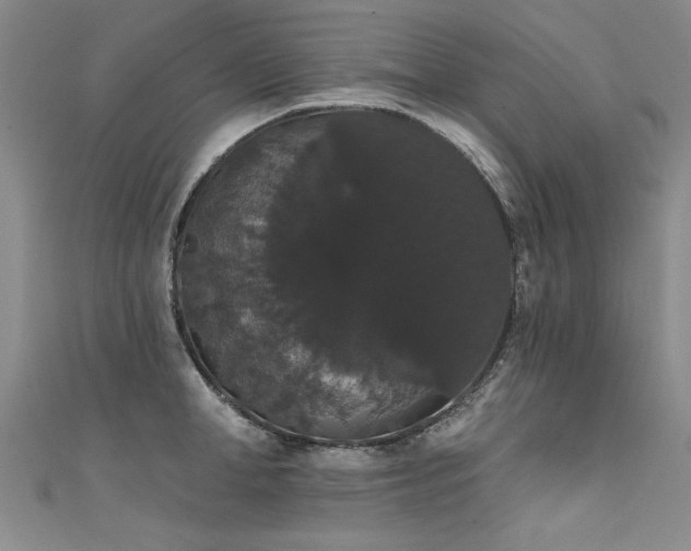 X0000111520998200907141504