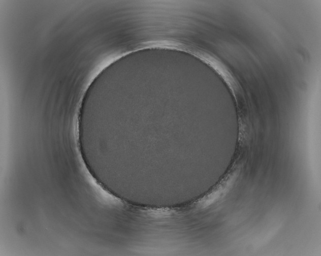 X0000111520999200907141504
