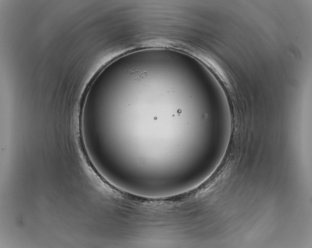 X0000111521000200907141504