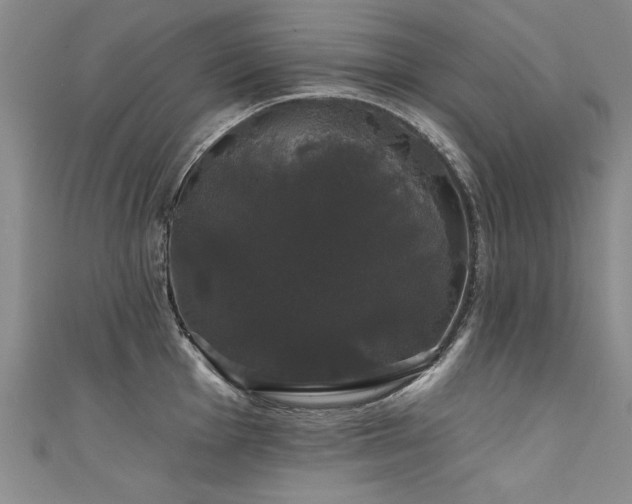 X0000111521001200907141504