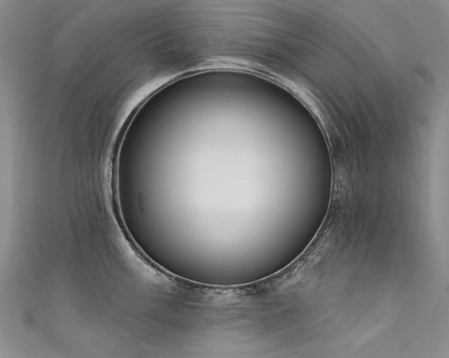 X0000111521003200907141504