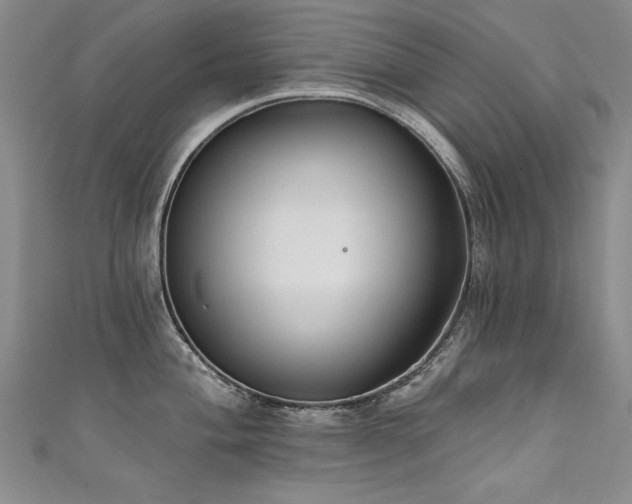 X0000111521004200907141504