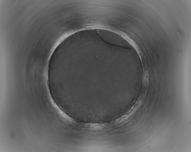 X0000111521005200907141504