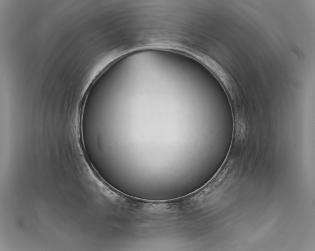 X0000111521006200907141504