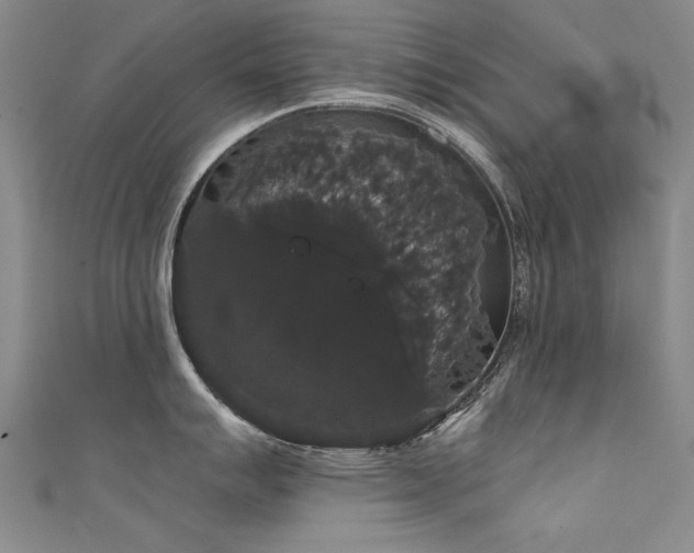 X0000111521007200907141504