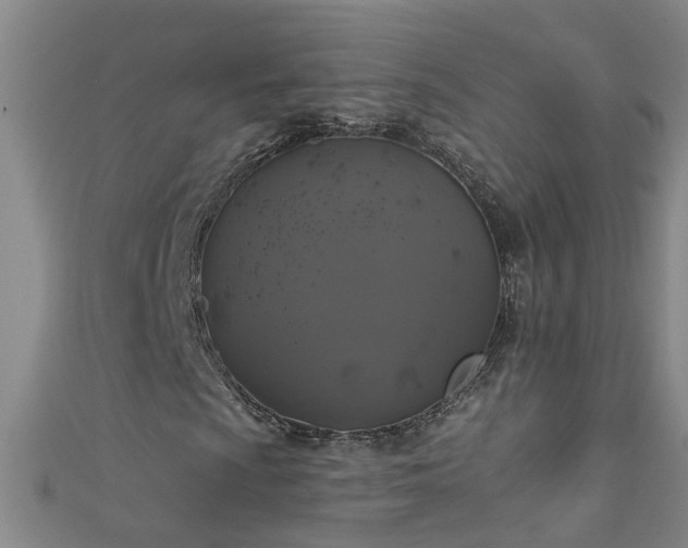 X0000111521009200907141503