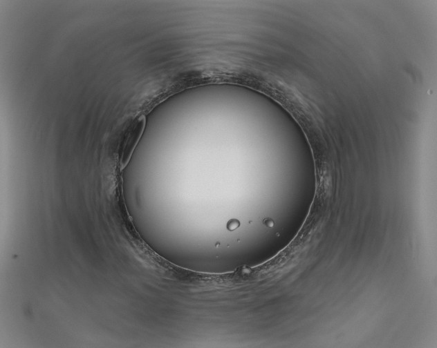 X0000111521012200907141503