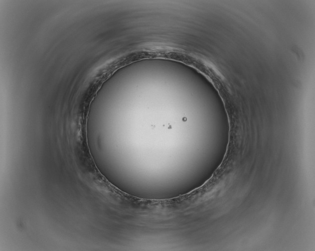 X0000111521016200907141503