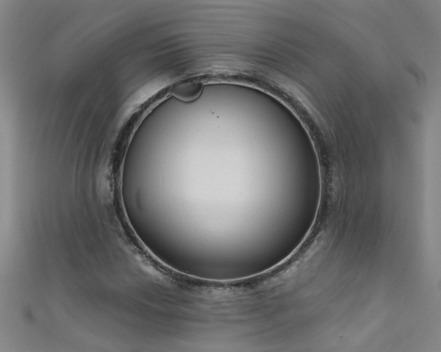 X0000111521018200907141503