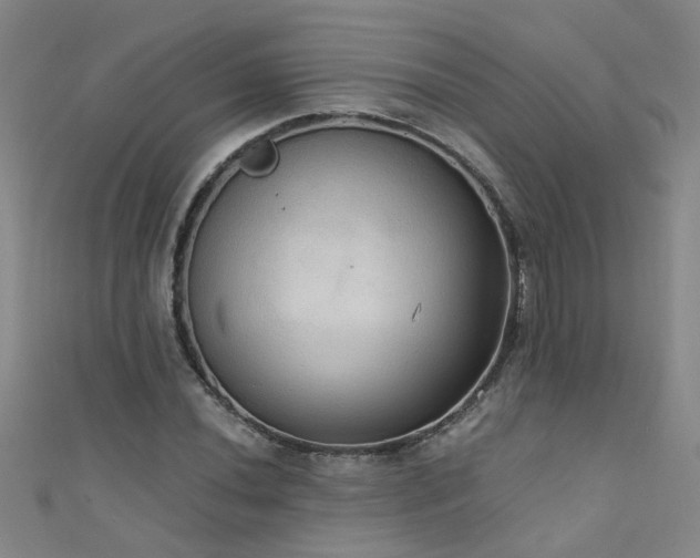 X0000111521020200907141503