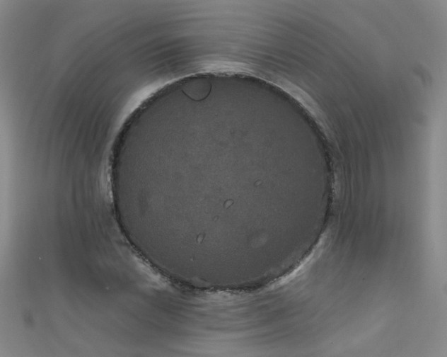 X0000111521022200907141503
