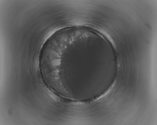 X0000111521023200907141503