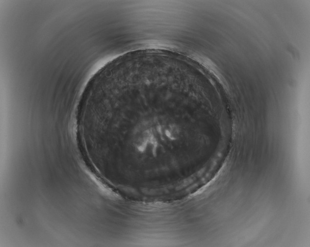 X0000111521024200907141503