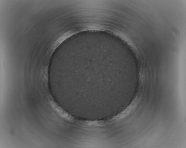X0000111521025200907141503
