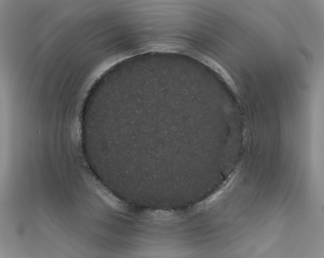 X0000111521027200907141503