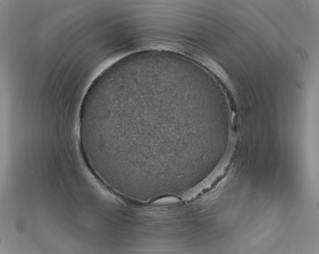 X0000111521028200907141503