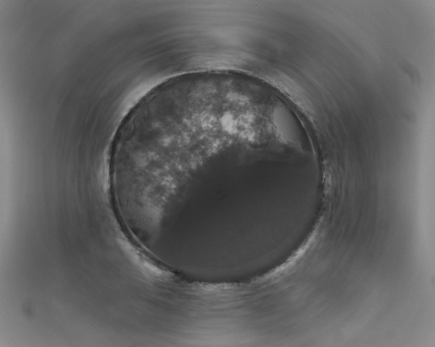 X0000111521031200907141503